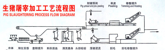 空气能生猪屠宰加工工艺流程